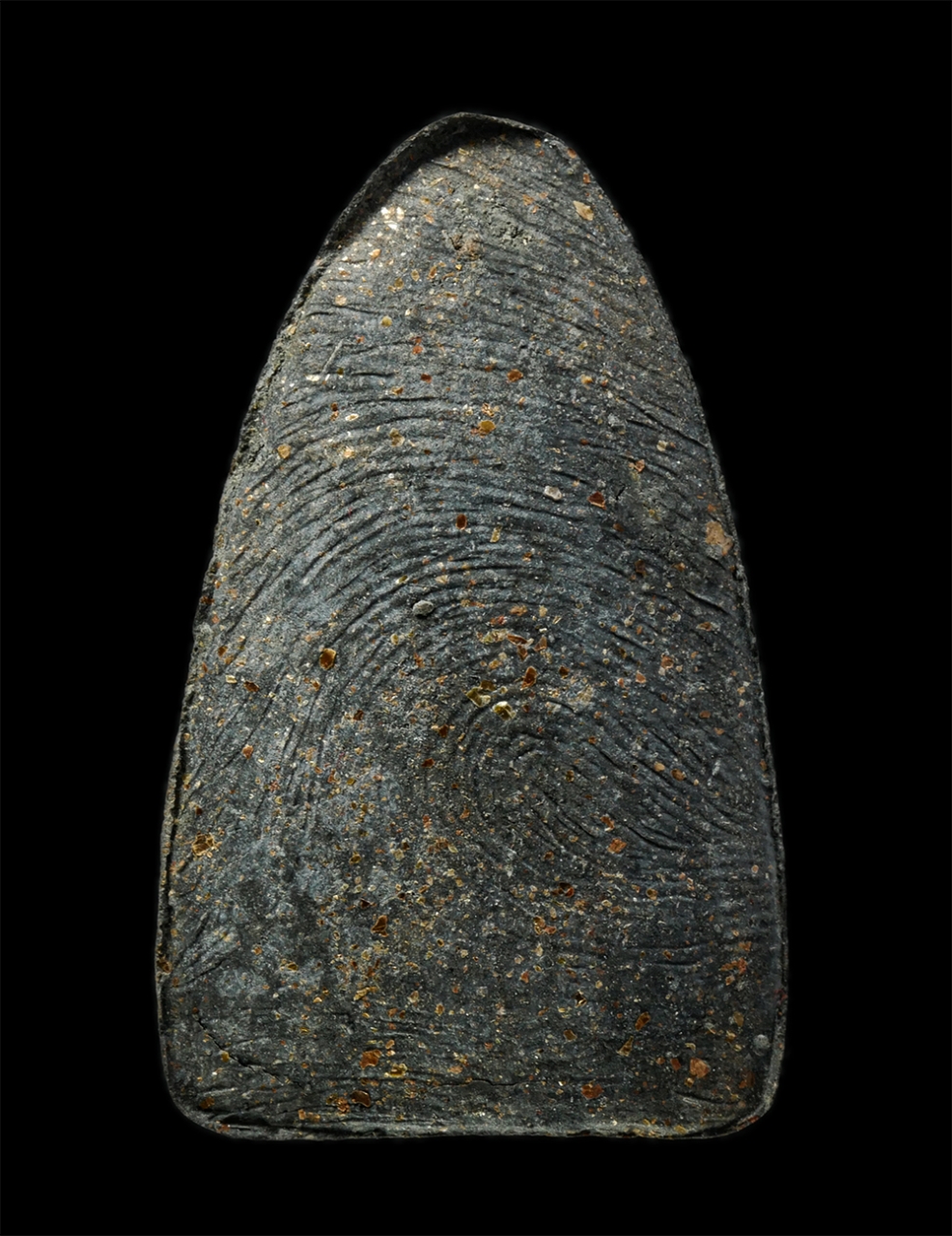 18Feb25 (38)bp.jpg - หลวงพ่อทวด รุ่นรักแผ่นดิน วัดห้วยมงคล  อ.หัวหิน จ.ประจวบคีรีขันธ์ เนื้อว่าน โรยผงตะไบชนวน  | https://kamulet.in.th